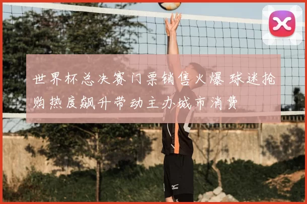 世界杯总决赛门票销售火爆 球迷抢购热度飙升带动主办城市消费