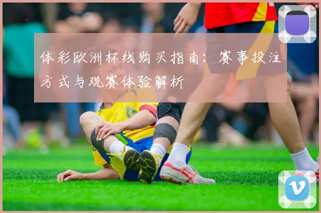 体彩欧洲杯线购买指南：赛事投注方式与观赛体验解析